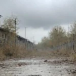 «Вставай, іди звідси!» — казали псу