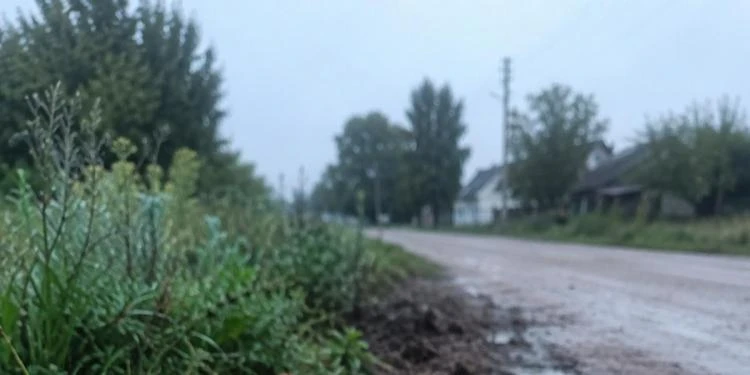 Дощ періщив третю добу, а вона чекала когось на узбіччі
