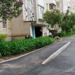 Песик Бублик довіряв людям більше, ніж інколи варто було
