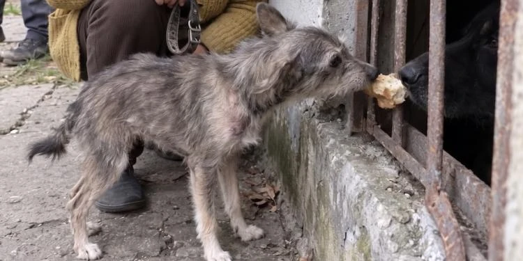 Ключ у жерстяній коробці