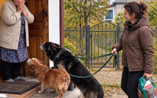 Сирники для чужих собак